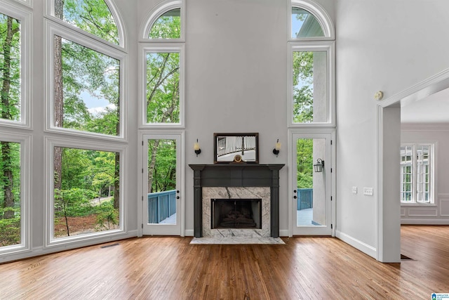 2074 Royal Fern Ln, Hoover, AL 35244 - unfurnished living room featuring wood finished floors, a high ceiling, a healthy amount of sunlight, and a fireplace