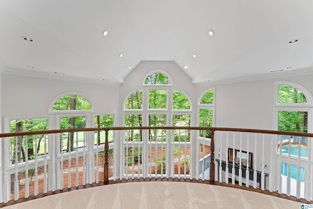 2074 Royal Fern Ln, Hoover, AL 35244 - interior space with recessed lighting and high vaulted ceiling