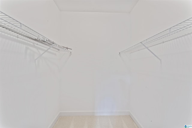 2074 Royal Fern Ln, Hoover, AL 35244 - spacious closet featuring light carpet