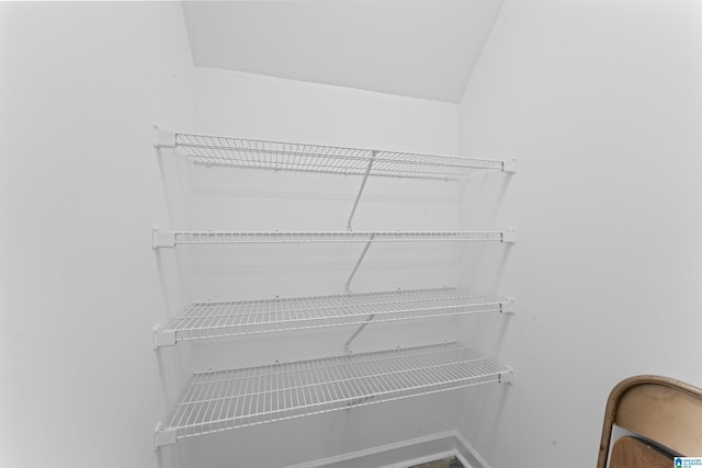 2074 Royal Fern Ln, Hoover, AL 35244 - view of walk in closet