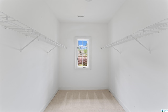 2074 Royal Fern Ln, Hoover, AL 35244 - spacious closet featuring visible vents and light carpet