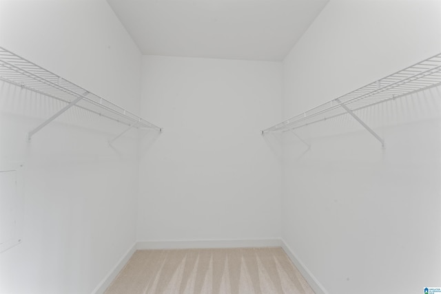 2074 Royal Fern Ln, Hoover, AL 35244 - walk in closet with light colored carpet