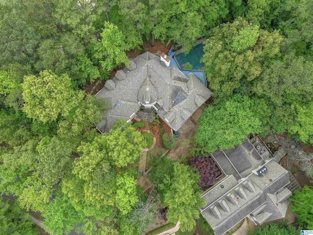 2074 Royal Fern Ln, Hoover, AL 35244 - drone / aerial view