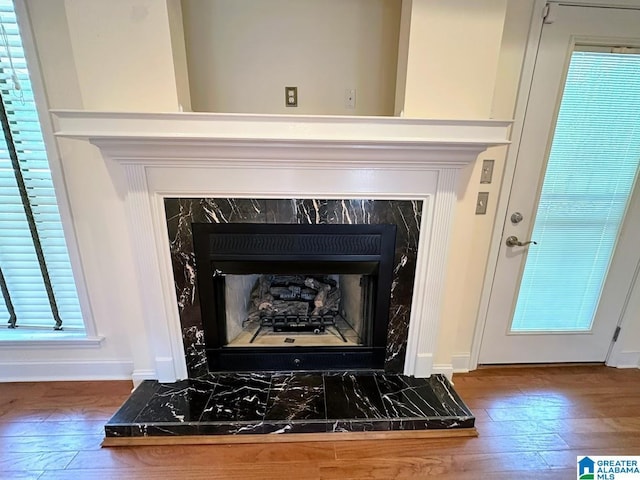 interior details with baseboards, wood finished floors, and a premium fireplace