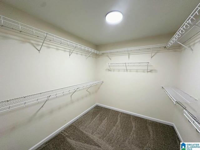 spacious closet with carpet floors