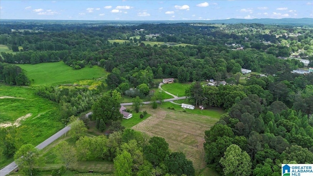 drone / aerial view featuring a rural view and a forest view