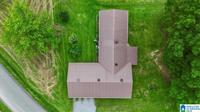drone / aerial view