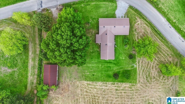 bird's eye view