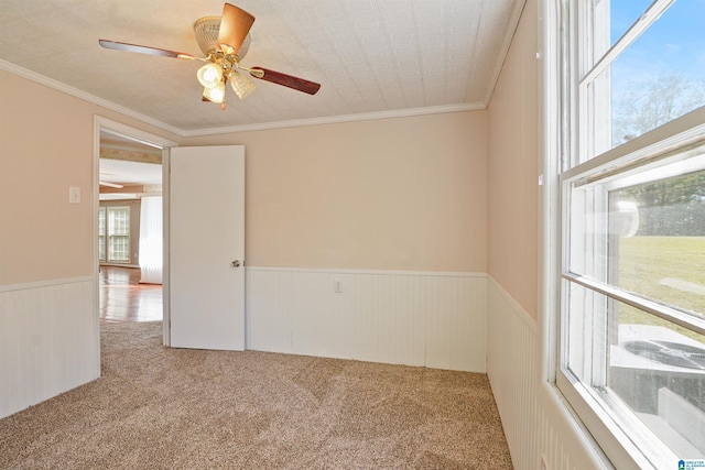2928 University Way, Centreville, AL 35042 - spare room featuring a ceiling fan, light colored carpet, ornamental molding, and a wainscoted wall
