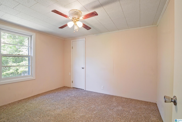 2928 University Way, Centreville, AL 35042 - carpeted empty room featuring ornamental molding and ceiling fan