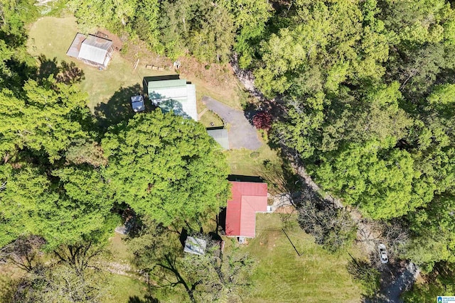 2928 University Way, Centreville, AL 35042 - birds eye view of property