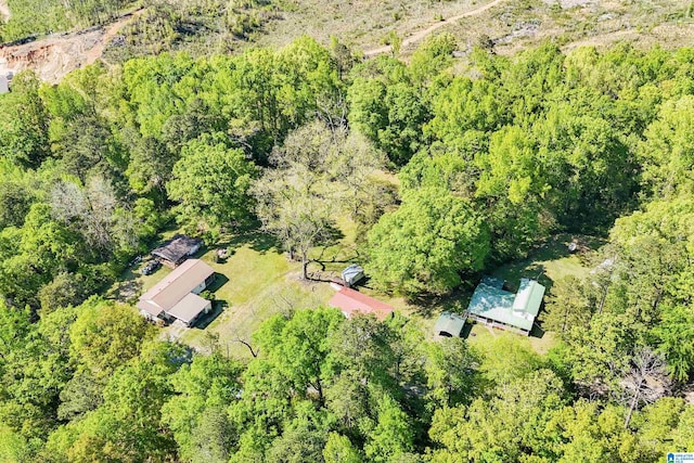 2928 University Way, Centreville, AL 35042 - bird's eye view with a forest view