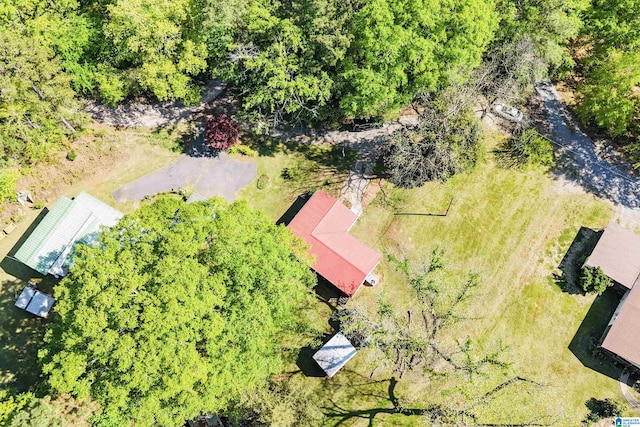 2928 University Way, Centreville, AL 35042 - drone / aerial view