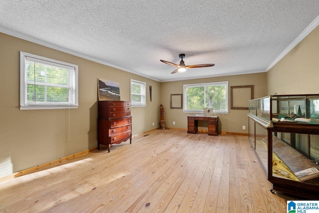 office featuring ornamental molding, baseboards, light wood-type flooring, a textured ceiling, and a ceiling fan
