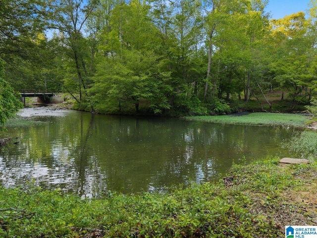 water view with a wooded view