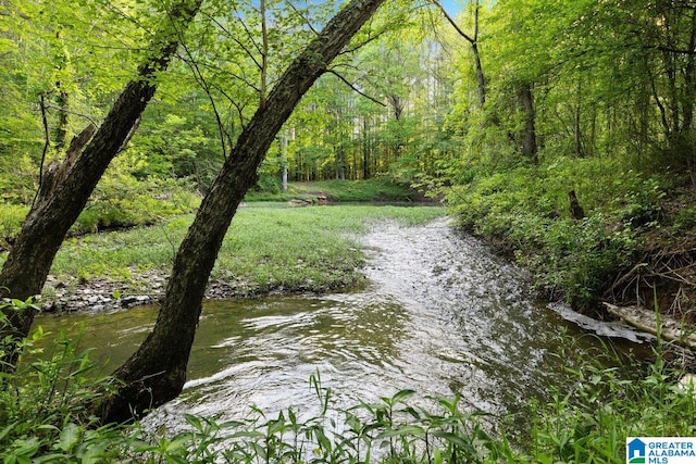 property view of water with a view of trees