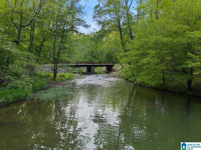 water view featuring a forest view