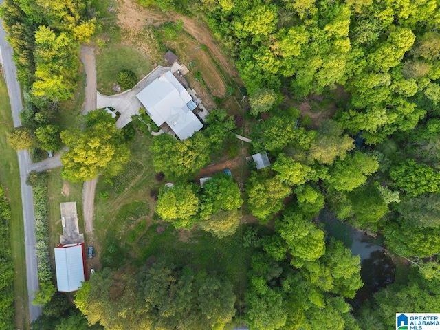 drone / aerial view