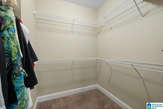 walk in closet featuring carpet flooring