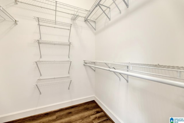 spacious closet with dark wood-style floors