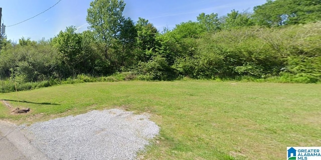 5520 Norway Ave Unit 1, Birmingham, AL 35224