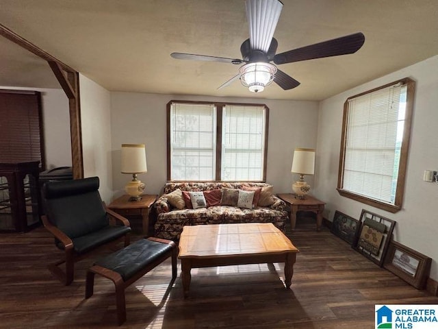 living area with a ceiling fan and wood finished floors
