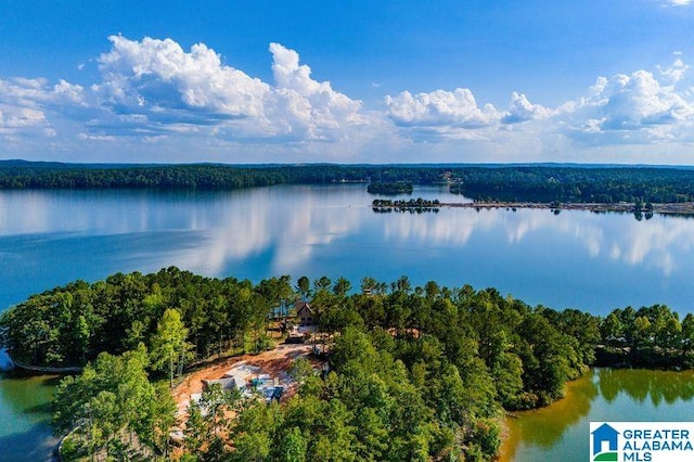 drone / aerial view featuring a water view and a forest view