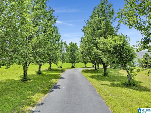 view of road