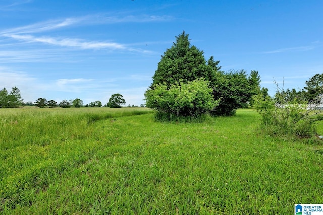 view of local wilderness featuring a rural view
