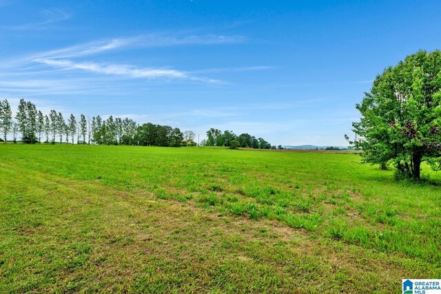 view of nature with a rural view