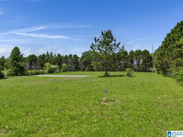 view of yard