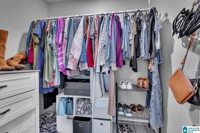 1522 Bower Dr SE, Cullman, AL 35055 - view of spacious closet