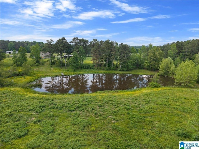 view of water feature
