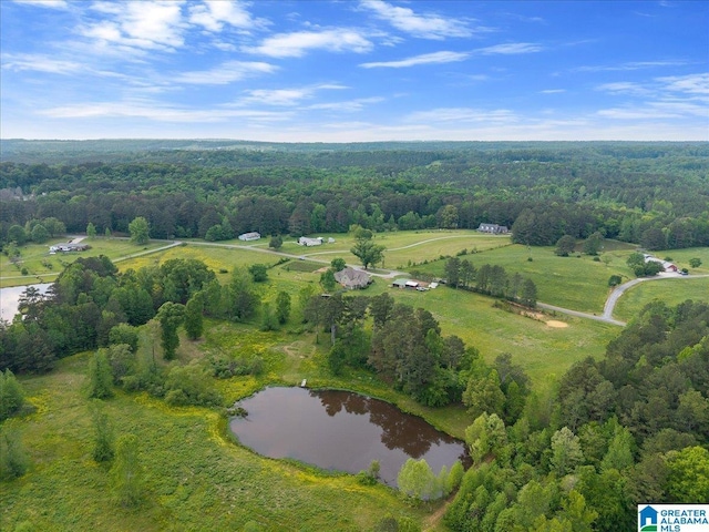 birds eye view of property with a water view, a rural view, and a wooded view