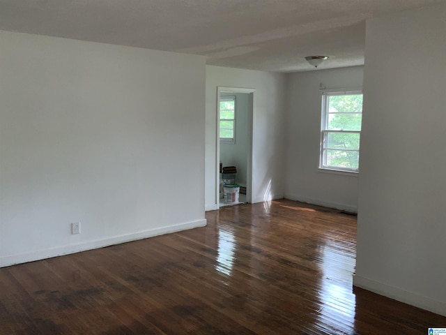 spare room featuring a healthy amount of sunlight, baseboards, and wood-type flooring