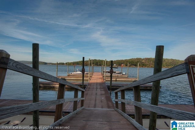 dock featuring a water view