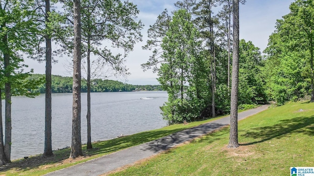 water view