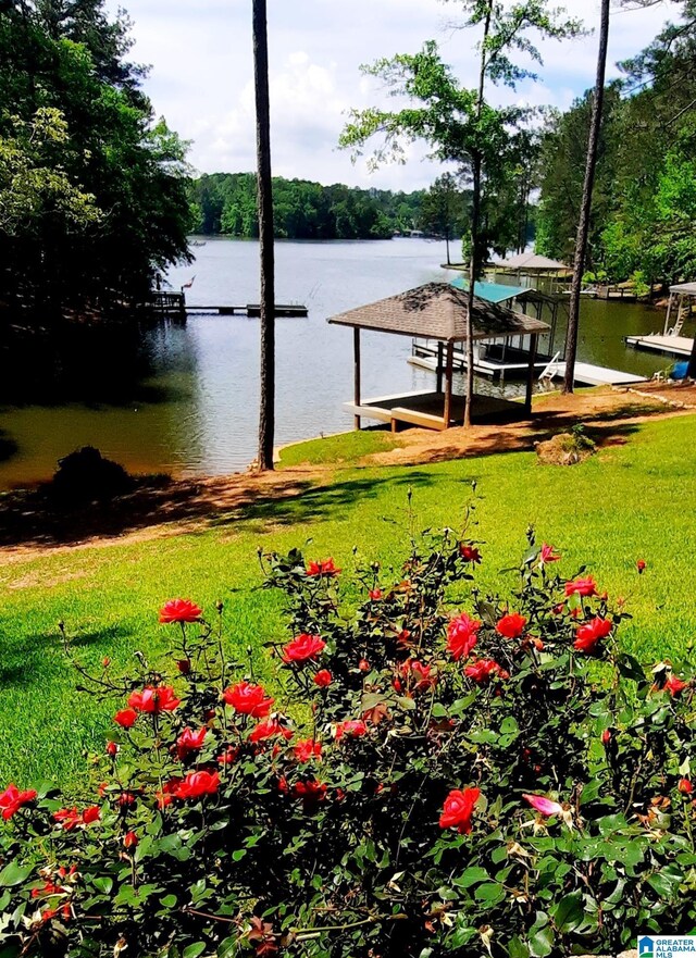 dock area featuring a water view and a yard