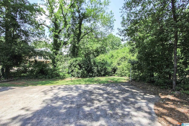 5 Christopher Way, Anniston, AL 36207 - view of road