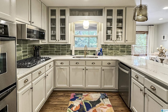 kitchen featuring appliances with stainless steel finishes, a wealth of natural light, a sink, and dark wood finished floors