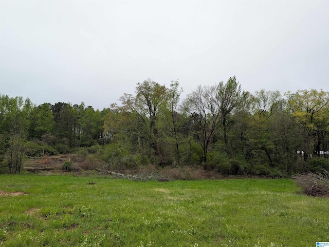 view of yard with a forest view