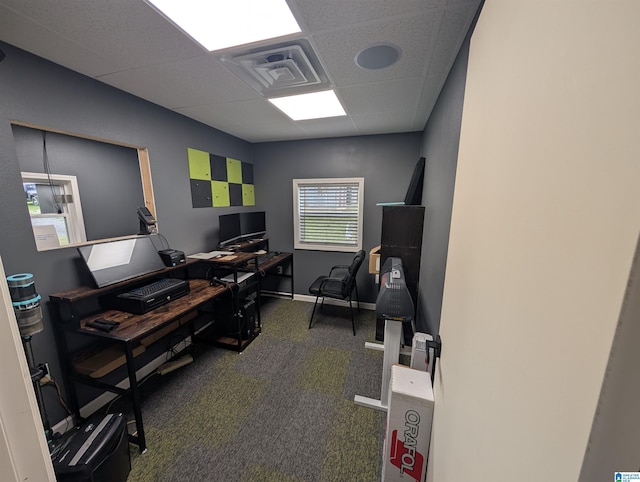 carpeted office featuring visible vents, baseboards, and a drop ceiling