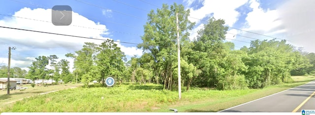 12852 Bodenhamer Rd Unit 4, Foley, AL 36535