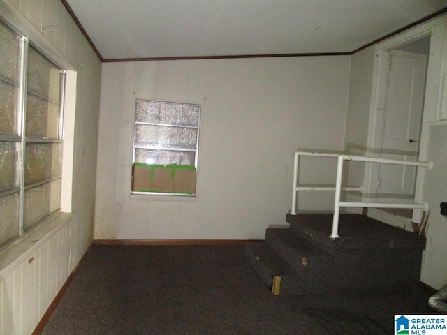 carpeted spare room with crown molding and baseboards