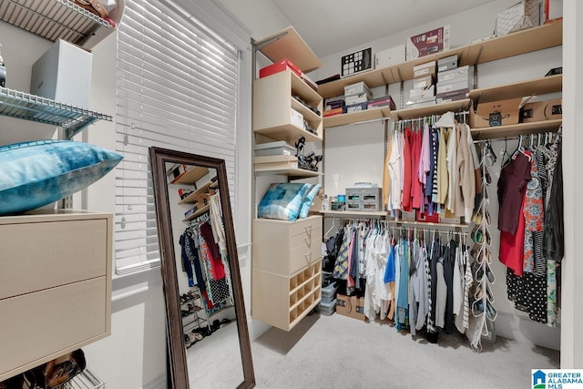 364 Stone Brook Cir, Hoover, AL 35226 - spacious closet with carpet flooring