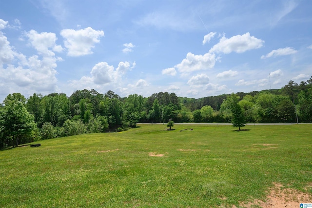 1352 County Road 185, Jemison, AL 35085 - view of yard with a forest view