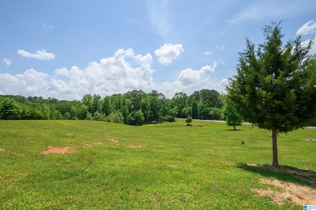 1352 County Road 185, Jemison, AL 35085 - exterior space