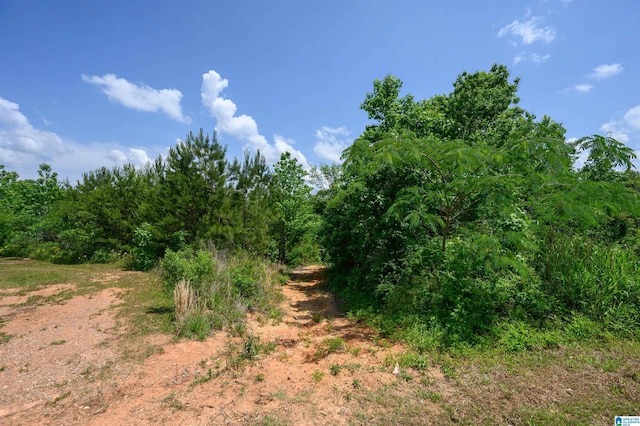 1352 County Road 185, Jemison, AL 35085 - view of local wilderness with a view of trees