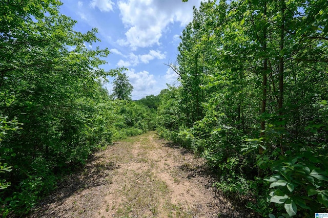 1352 County Road 185, Jemison, AL 35085 - view of nature