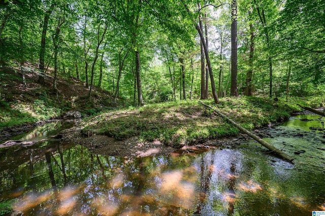 1352 County Road 185, Jemison, AL 35085 - view of landscape